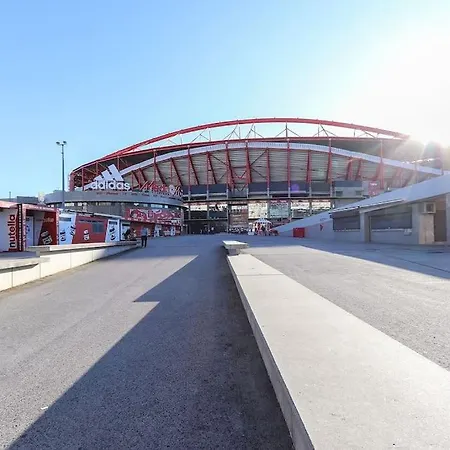 Benfica Ii By Homing Lisboa