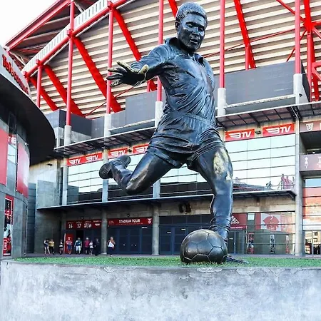 Benfica Ii By Homing * Lisbon